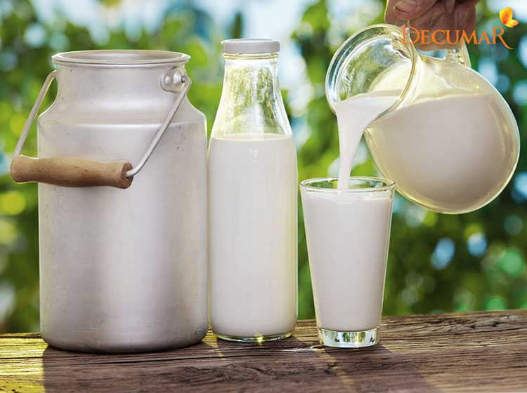 Sữa bò chính là một loại thực phẩm mà bạn cần tránh khi điều trị mụn viêm trên da